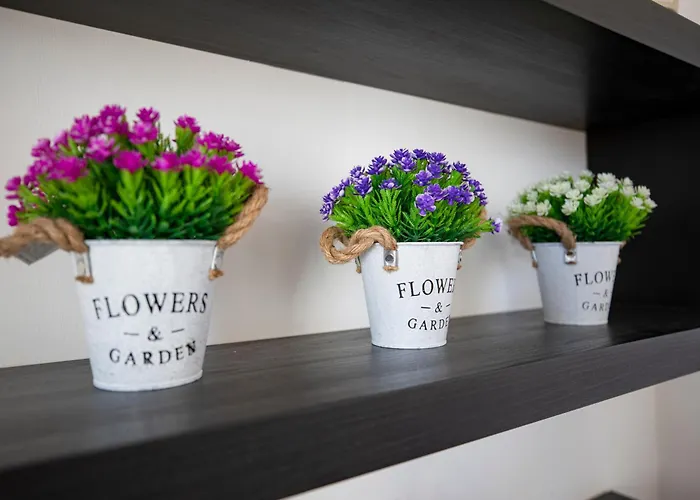 Affitti Brevi De Amicis Pescara